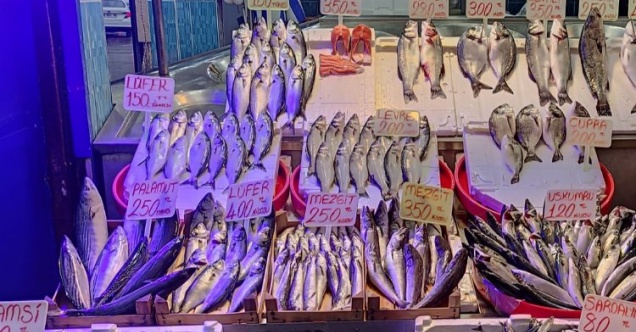 Balığa kota geliyor! Fiyatlar dengelenecek