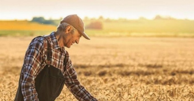 Tarım Ürünleri Üretici Fiyat Endeksi yıllık yüzde 72 arttı