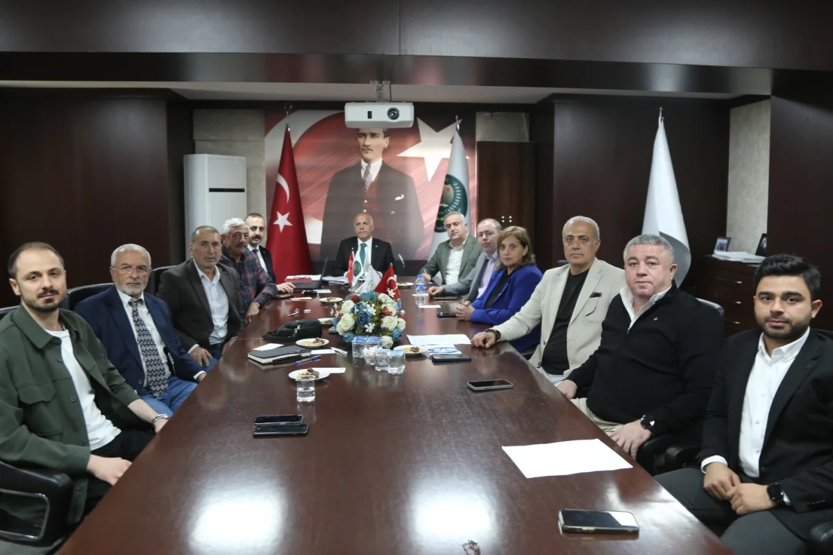 Artvin Zeytin Üreticilerine Yeni Sezon Fiyatları Açıklandı