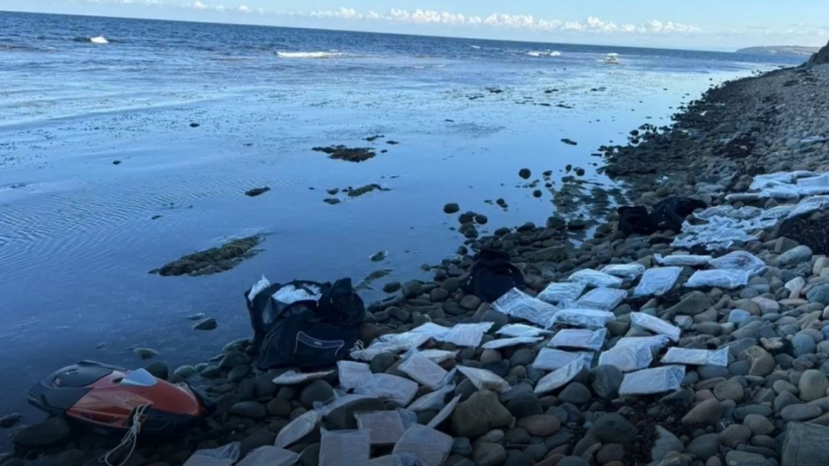 Bakan Ali Yerlikaya: ‘Karanlıkdere Sahili’nde, 114 kg uyuşturucu madde ele geçirildi’  - Videolu Haber