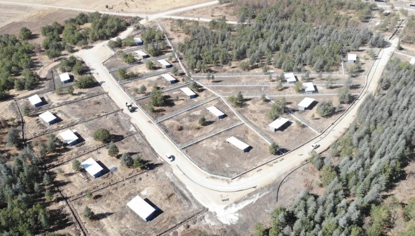 Edirne’de Sokak Hayvanları İçin Merhametli ve Güçlü Adımlar