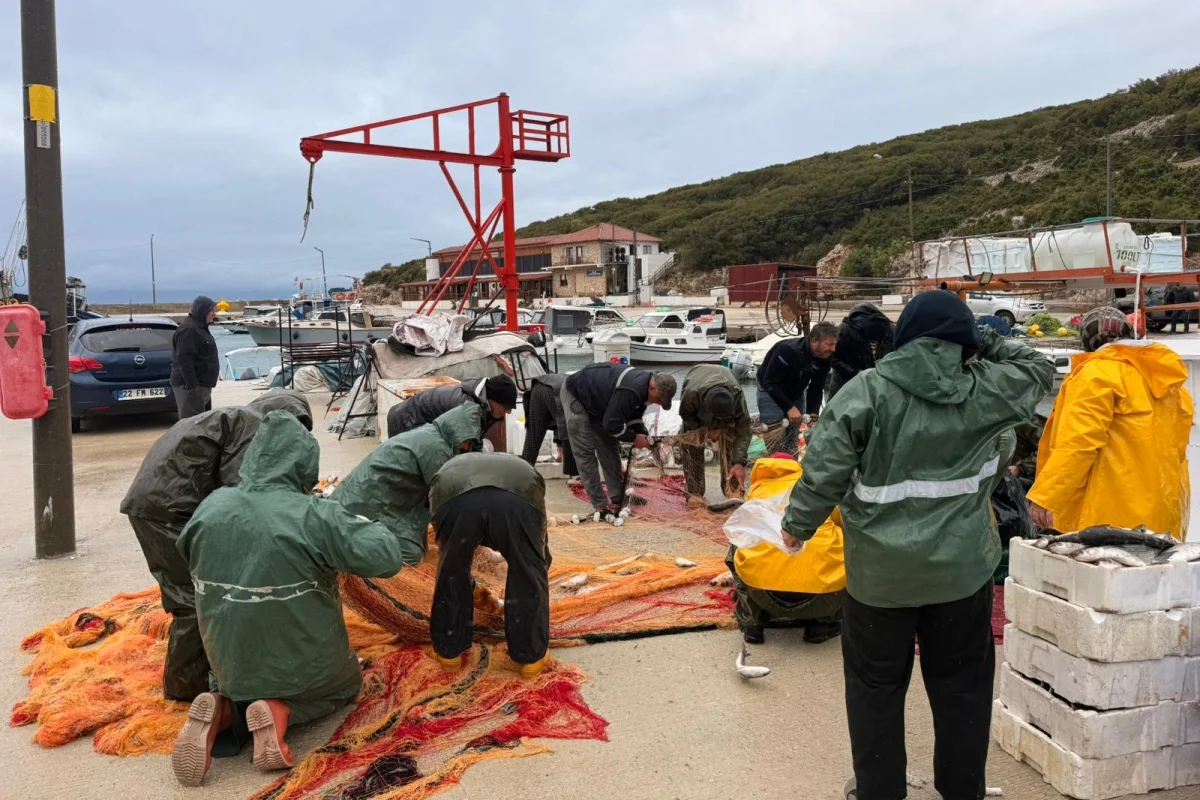 Edirne Mecidiye’de kara kefalde uzun yıllar sonra bereket