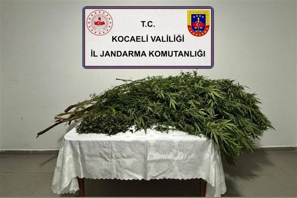 Kocaeli'nde kaçakçılık ve uyuşturucu operasyonları