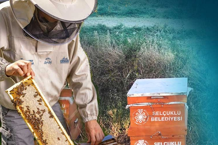 Konya Selçuklu Arıcılığı Destekliyor