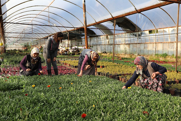 Muğla'da kadın kooperatifleri destekleniyor
