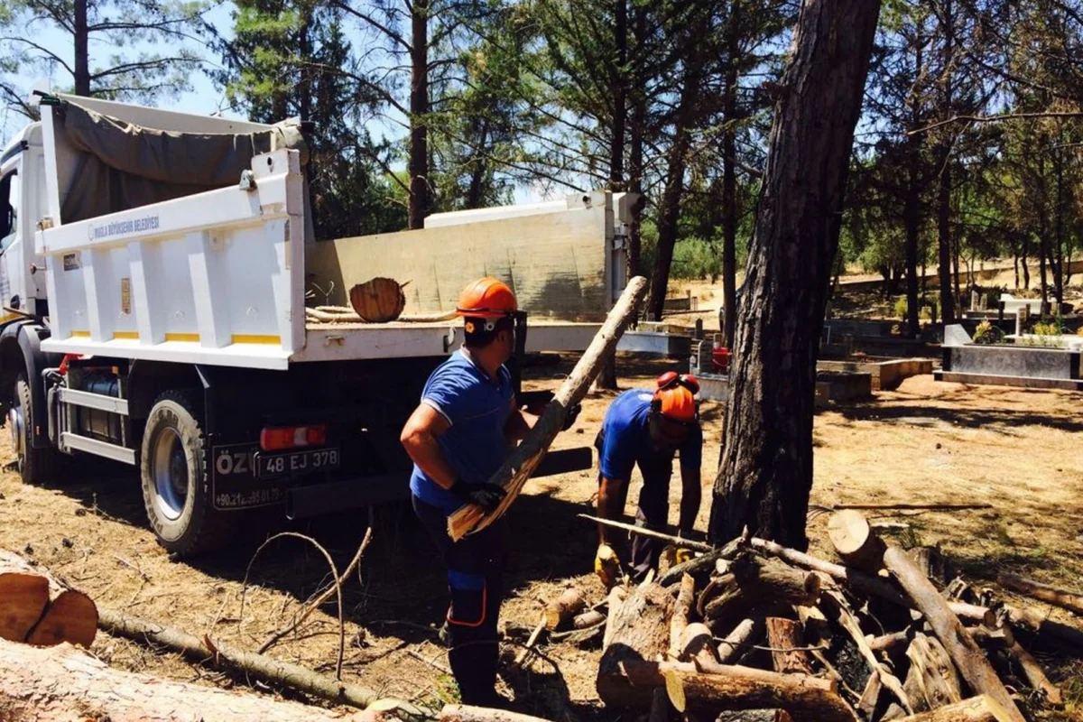 Muğla’da Mezarlık Bakımıyla İhtiyaç Sahiplerine Yakacak Desteği
