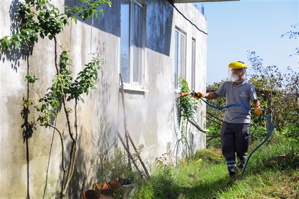 Samsun Büyükşehir Belediyesi'nden kışlak mücadelesi