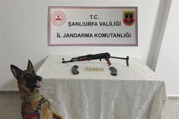 Siverek’te ruhsatsız silah operasyonu