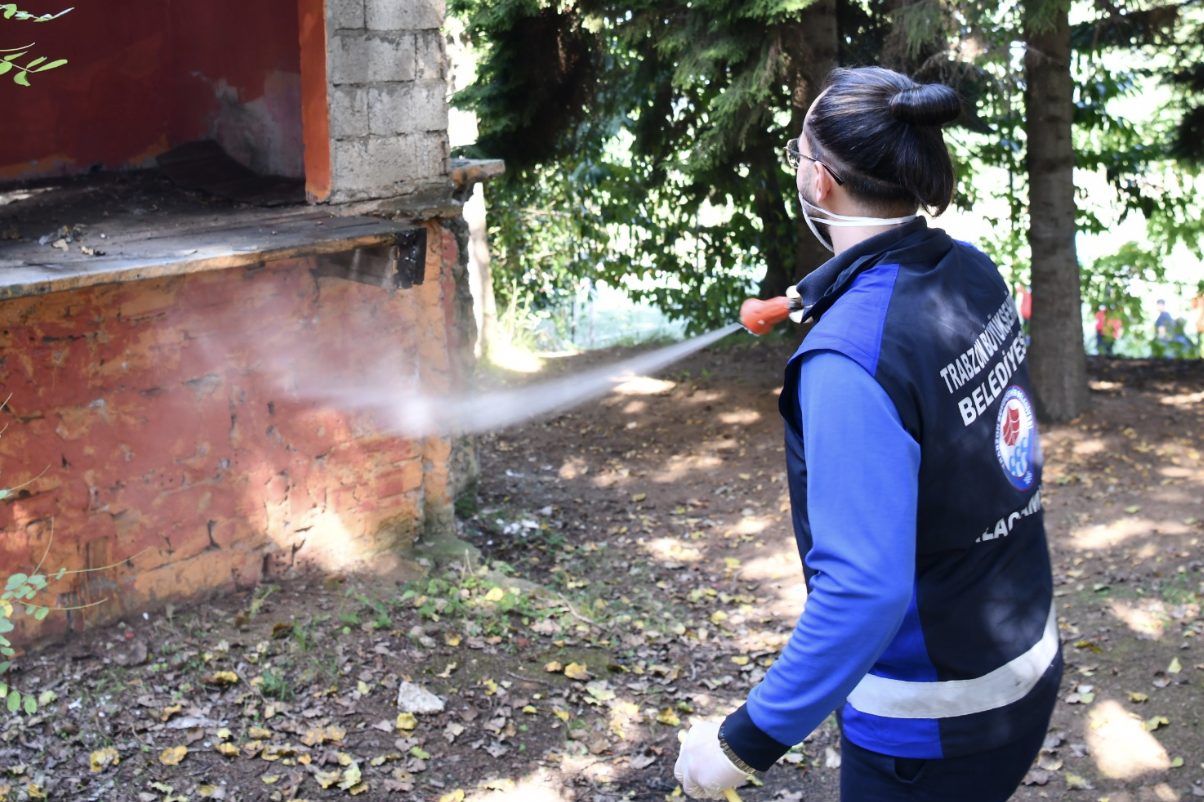 Trabzon’da Kahverengi Kokarca ilaçlaması