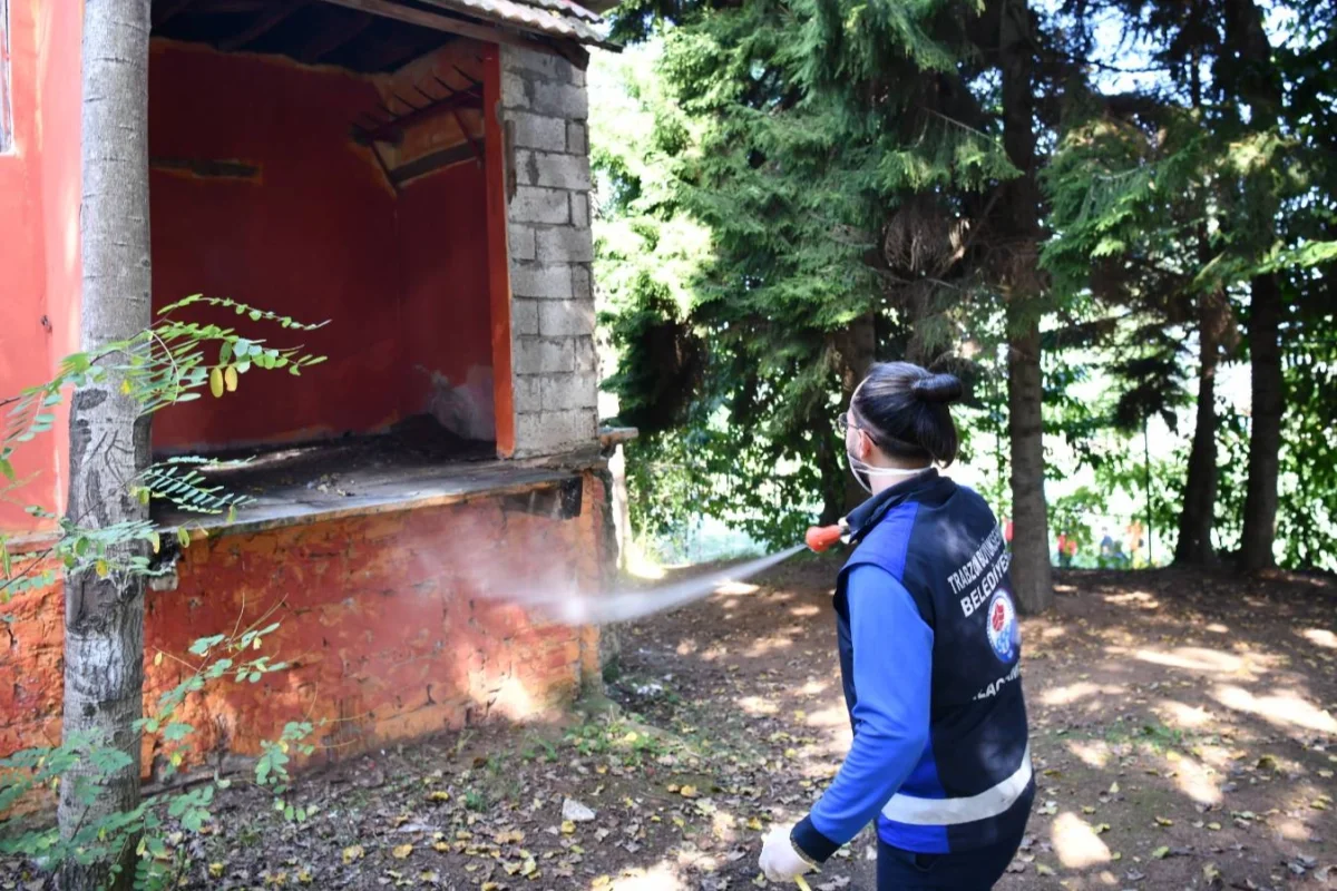 Trabzon’da Kahverengi Kokarca ile Yoğun Mücadele Başlatıldı