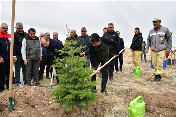 Üçkuyu Köyü'nde fidan dikimi gerçekleştirildi